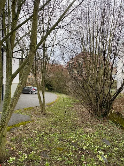 Disponibile ora - Bella appartamento di 2.5 locali in stile loft, con balcone – foto 7 di 17