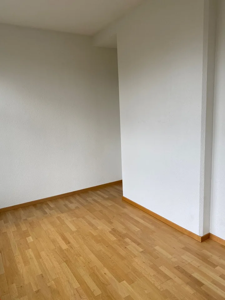 Disponibile ora - Bella appartamento di 2.5 locali in stile loft, con balcone – foto 10 di 17