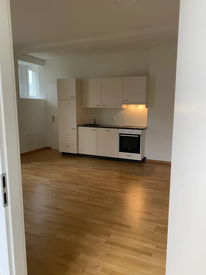 Disponibile ora - Bella appartamento di 2.5 locali in stile loft, con balcone – foto 11 di 17