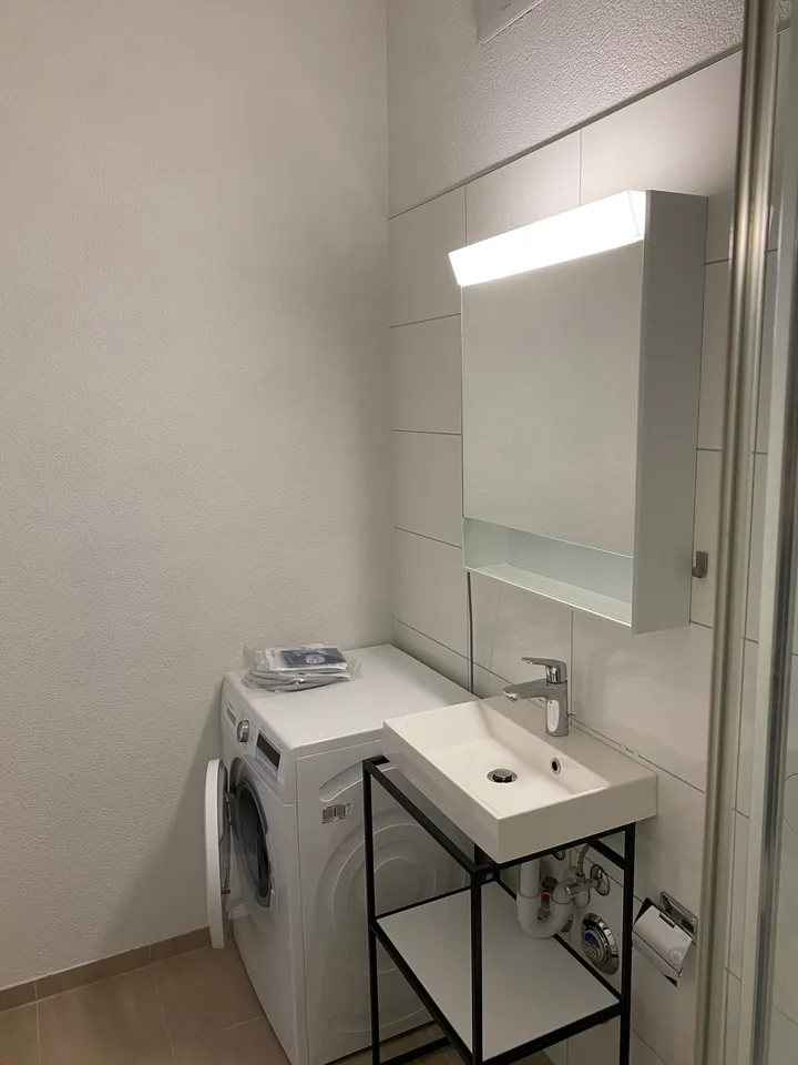Disponibile ora - Bella appartamento di 2.5 locali in stile loft, con balcone – foto 14 di 17