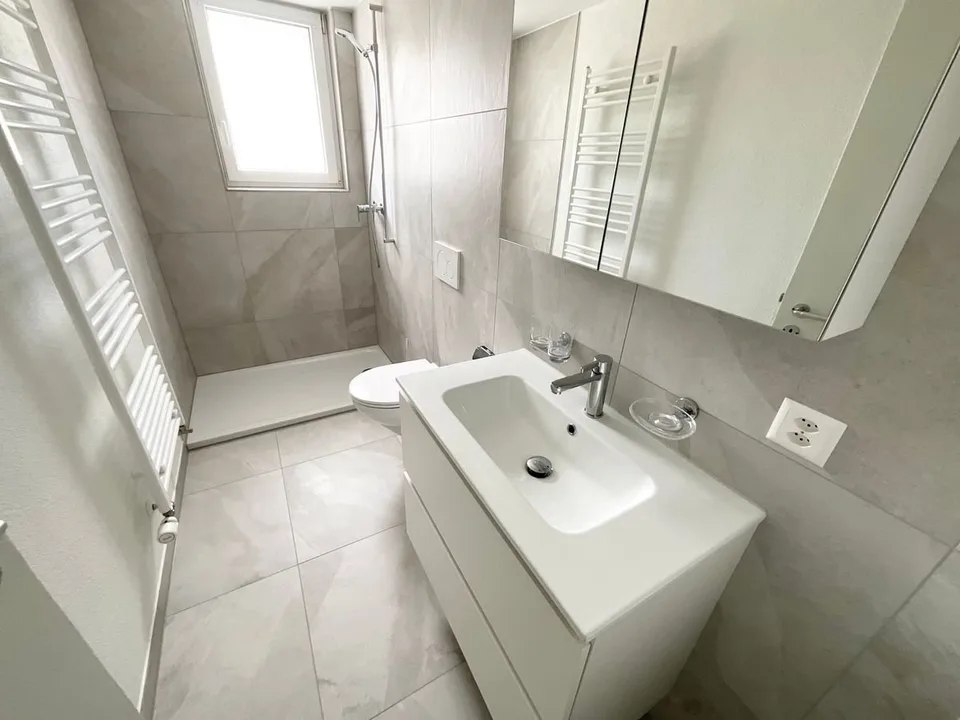 Wohnung mit 3 Zimmern und privater Terrasse renoviert