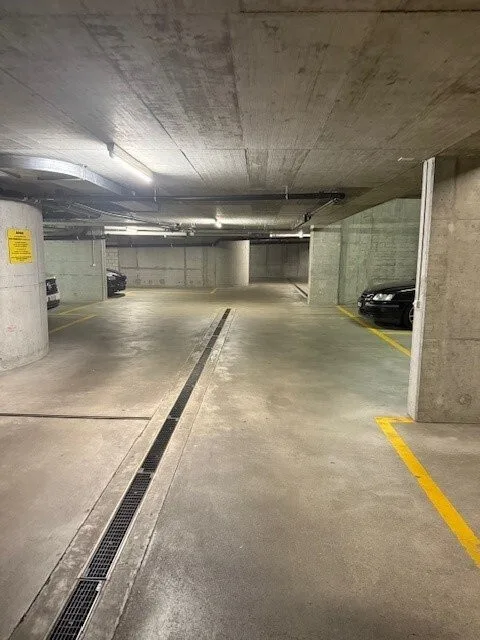 Box auto in affitto a Reinach BL