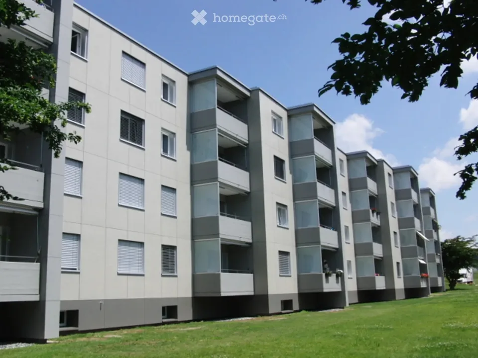 Schöne und helle 2.5-Zimmer-Wohnung in Oftringen (zentral gelegen)