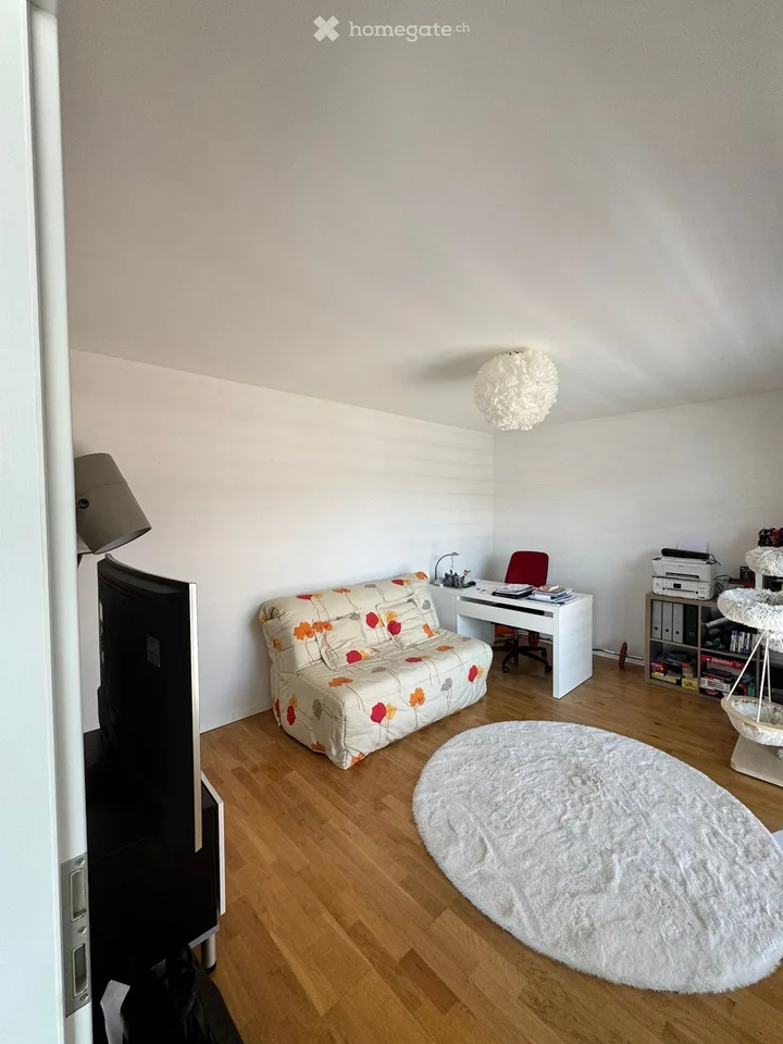 Prächtige 6.5-Zimmer-Dachwohnung mit Terrasse