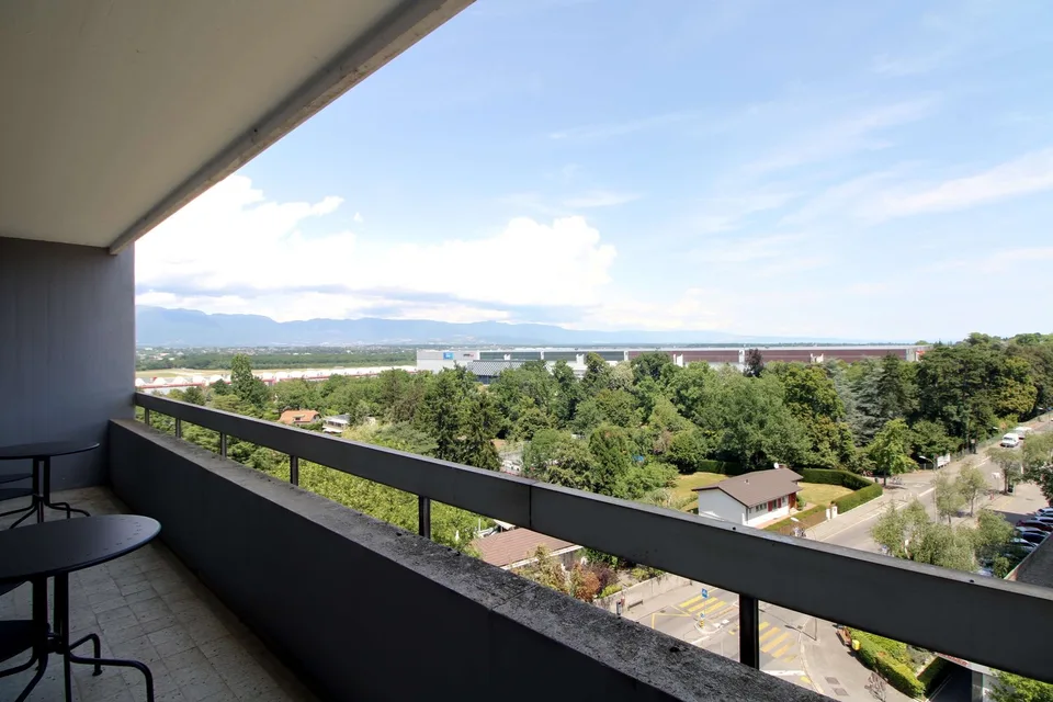 Grosszügiges Coliving mit internationalem Flair in Le Grand-Saconnex