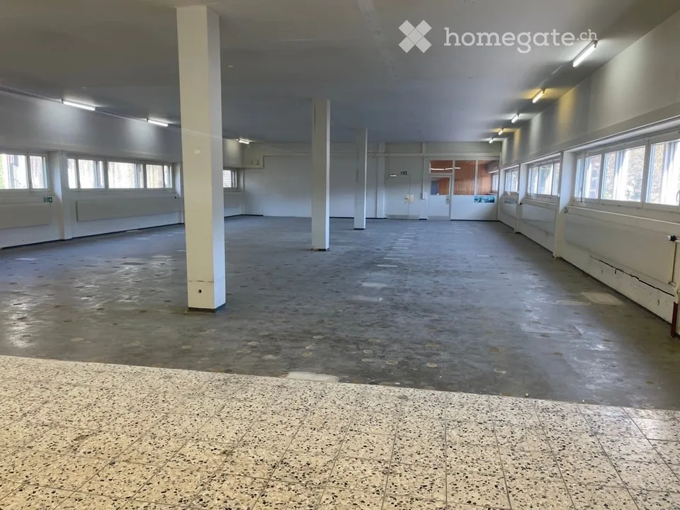 Vielseitig nutzbarer 350 m2 Mehrzweckraum an begehrter Lage in der Stadt Luzern
