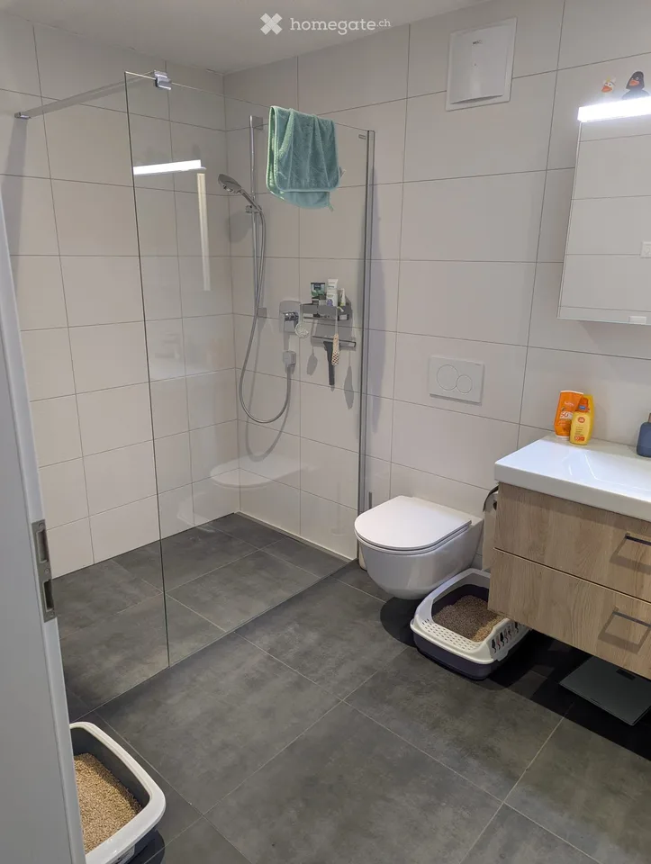 4.5 room apartment for rent
