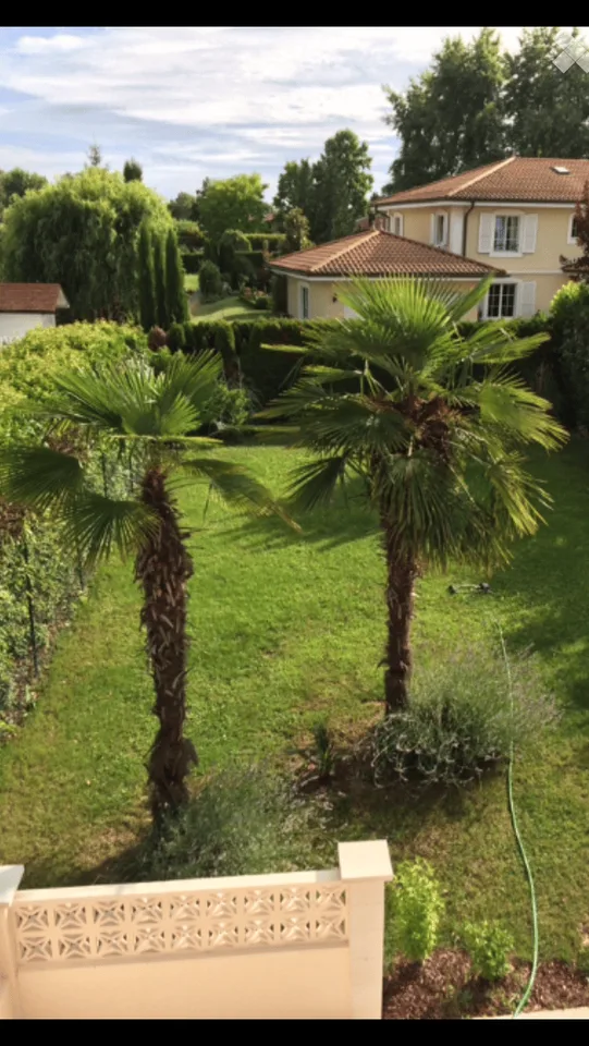 Maison bifamiliale de 6 pièces avec jardin à Coppet