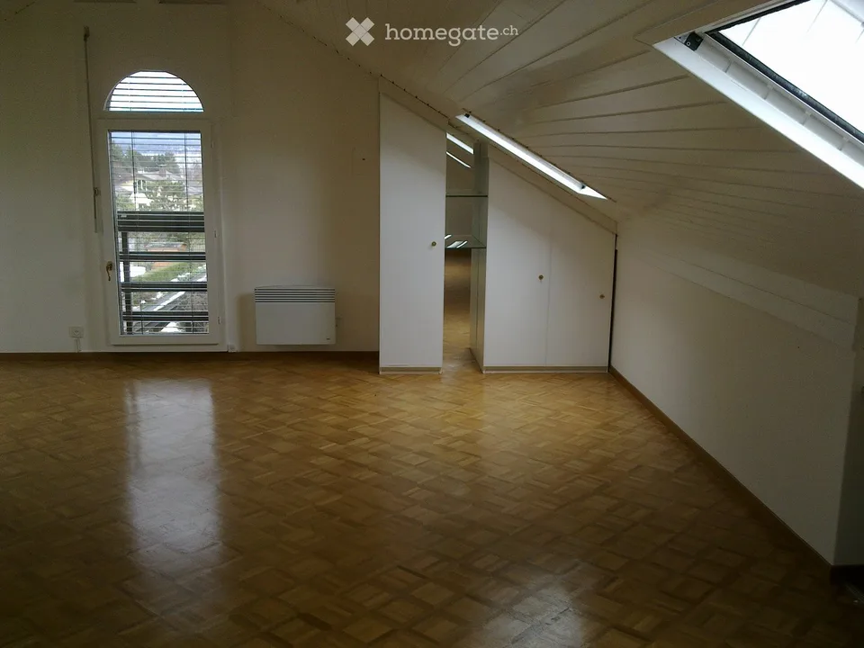 Beautiful VILLA MITOYENNE for rent in Coppet