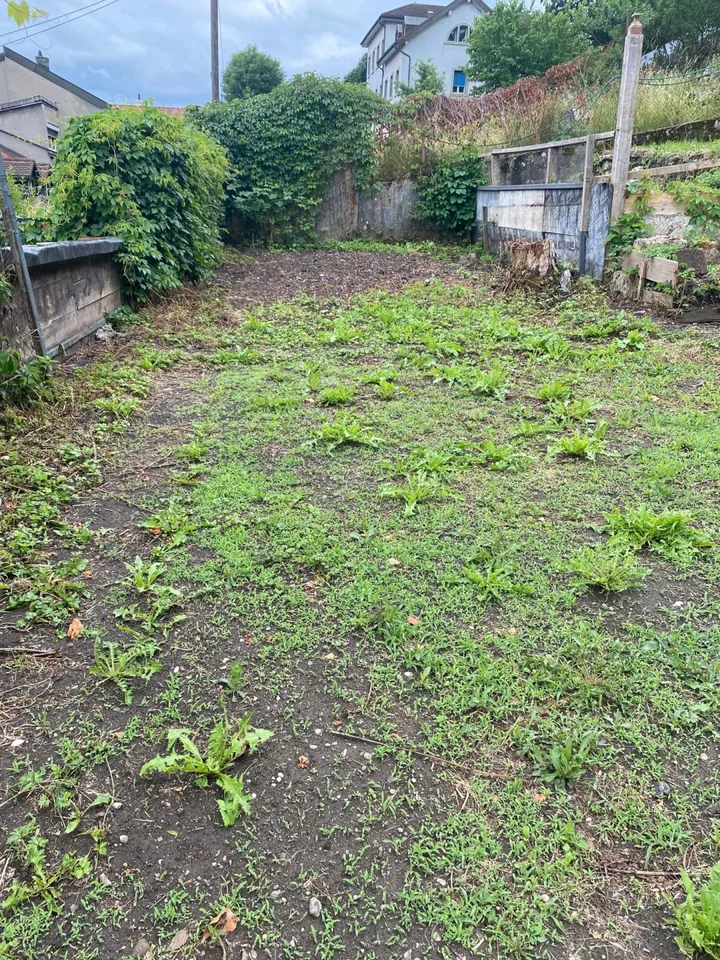 Mehr als zwei Plätze verfügbar! Entdecken Sie einen Garten, einen wahren Friedensort, mitten im Herzen der Stadt Freiburg!