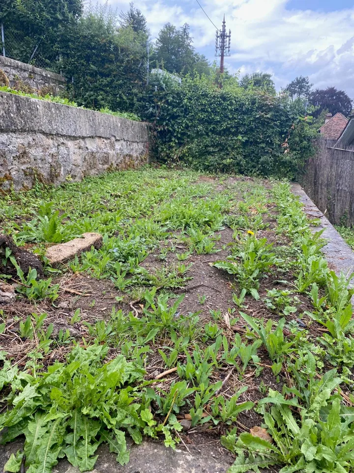 Mehr als zwei Plätze verfügbar! Entdecken Sie einen Garten, einen wahren Friedensort, mitten im Herzen der Stadt Freiburg!
