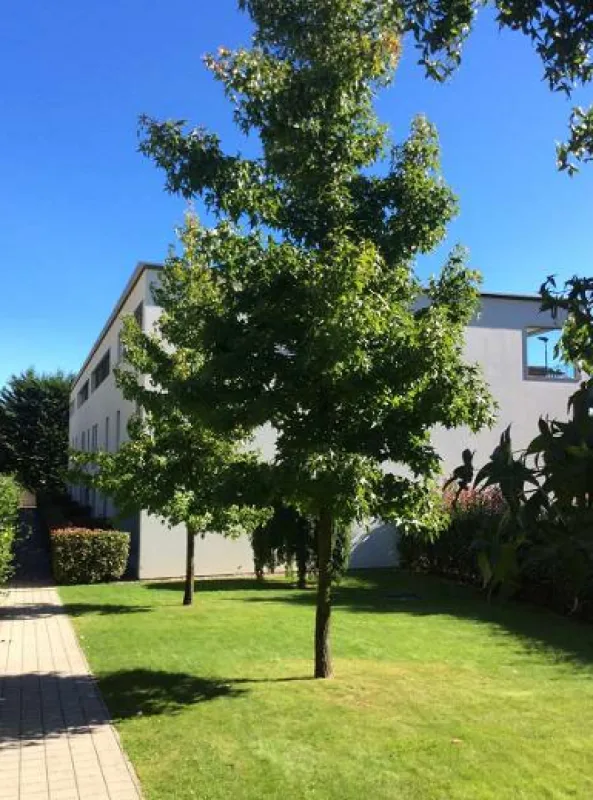 Fantastisches und geräumiges Duplex mit Blick auf den Luganersee