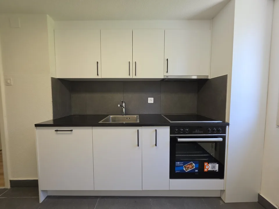 3 Zimmer-Wohnung, 9100 Herisau