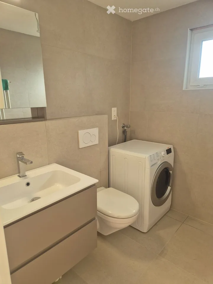 Neu renovierte 2.5-Zimmer-Wohnung mit Terrasse