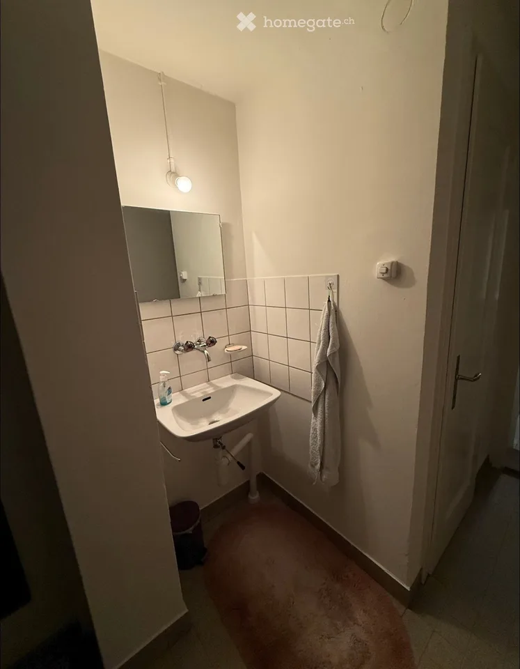 Affascinante appartamento di 2.5 locali a Ginevra – Avenue Wendt