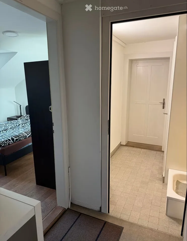 Affascinante appartamento di 2.5 locali a Ginevra – Avenue Wendt
