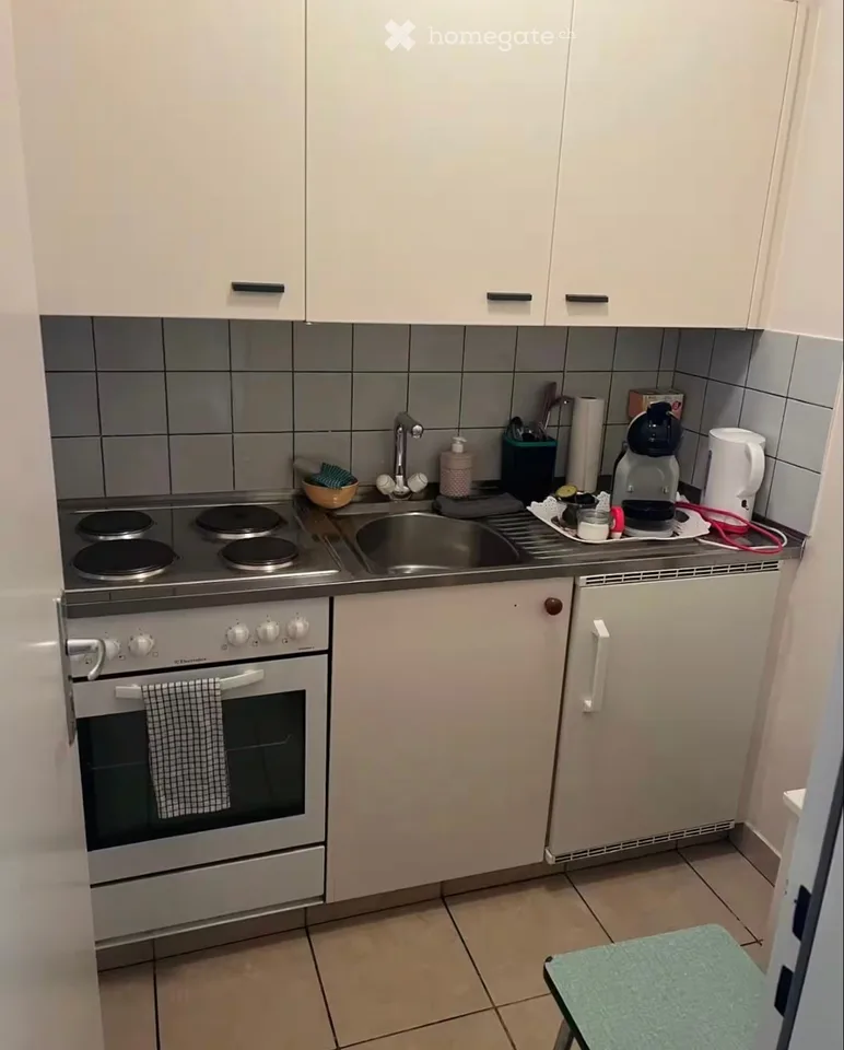 Affascinante appartamento di 2.5 locali a Ginevra – Avenue Wendt