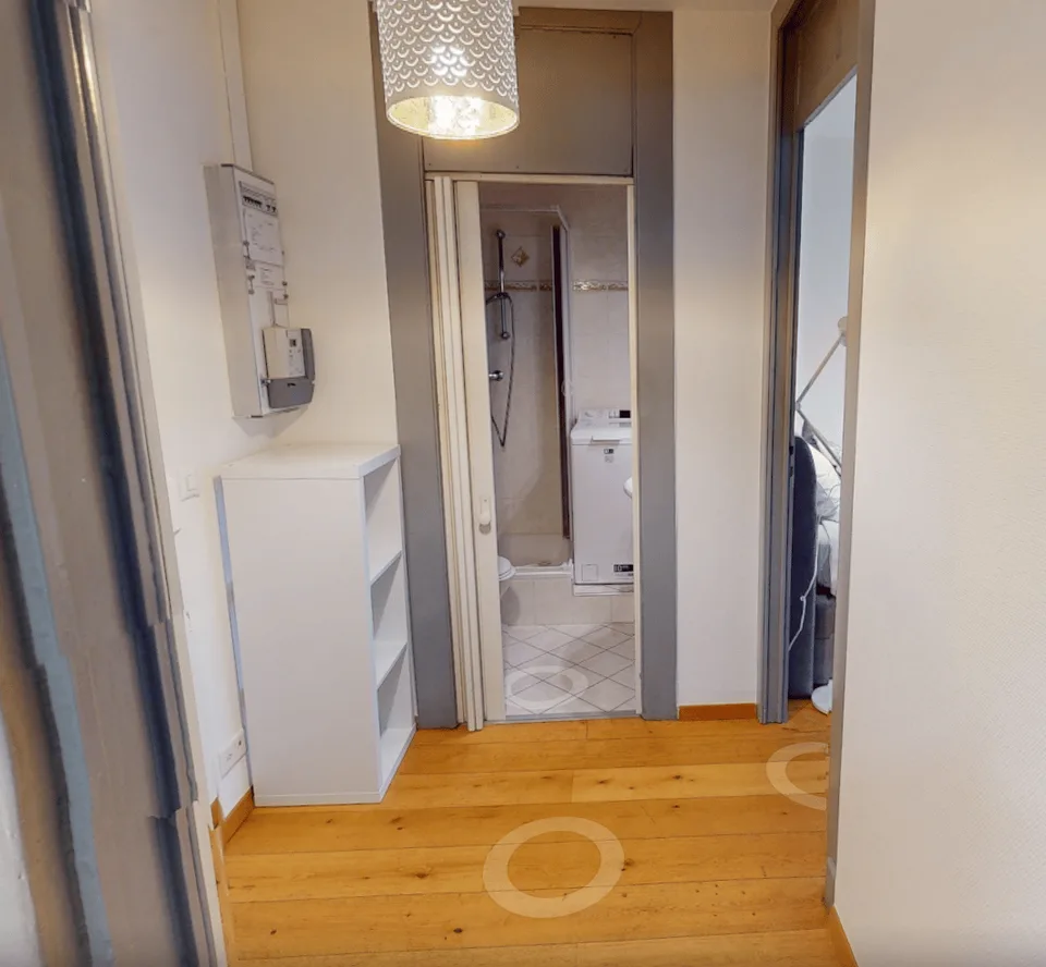 Studio confortevole a Eaux-Vives | Lavatrice, WiFi & ottime strutture di trasporto – foto 12 di 14