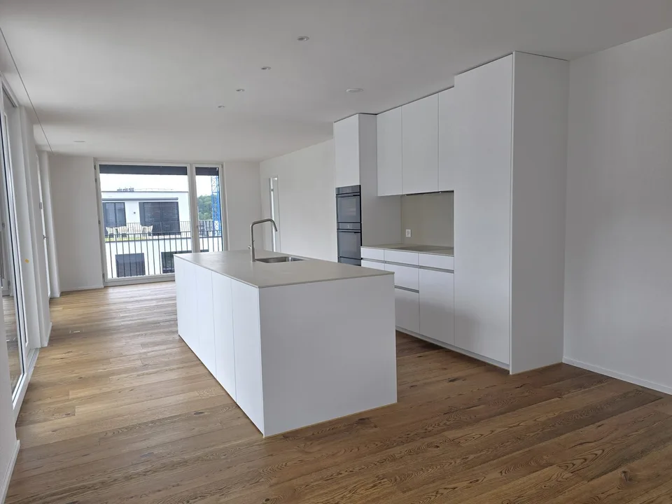 «Erstbezug» Moderne 3.5 Zimmer Attikawohnung mit grosser Dachterrasse, nur 20 Minuten von Zürich