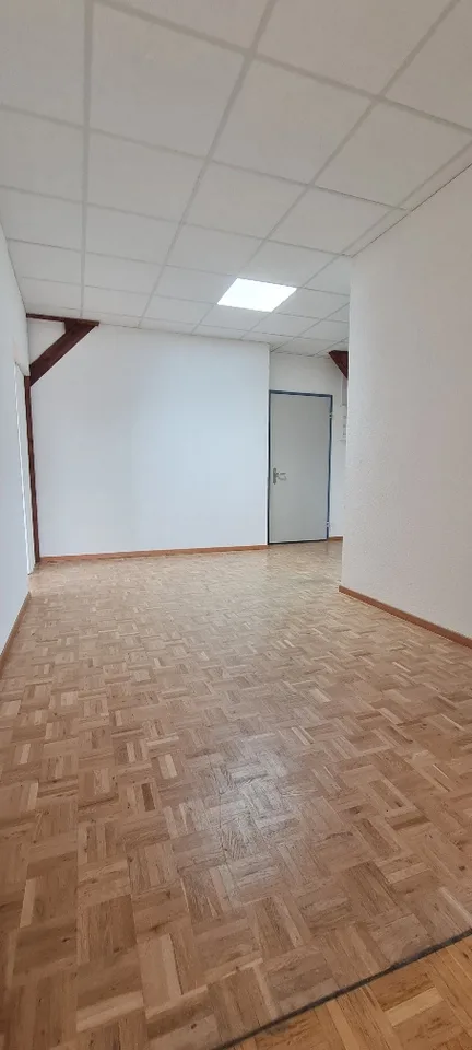 Beautiful rooms usable as a studio or office