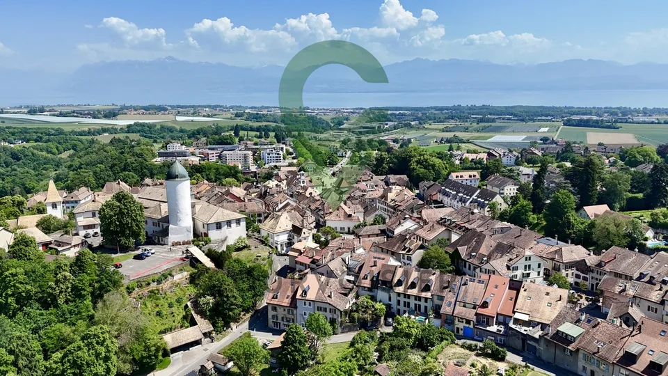 Immeuble de ville de caractère avec 3 logements distincts
