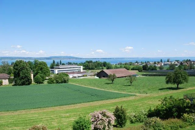 Helle 4.5-Zimmer-Wohnung mit Seesicht in Münsterlingen – sofort verfügbar!