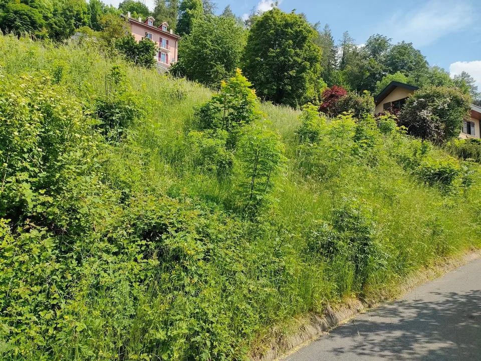 Bauparzelle mit gültiger Baugenehmigung und Projekt für eine Einfamilienhaus – Foto 6 von 6