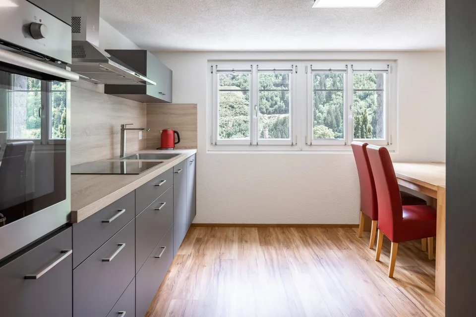 Appartamento di 2,5 locali o appartamento vacanze a Gurtnellen, UR