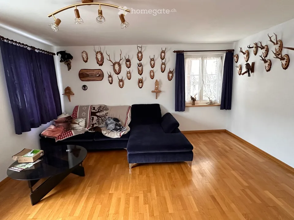 Charmantes Einfamilienhaus mit 4000 m² Wald