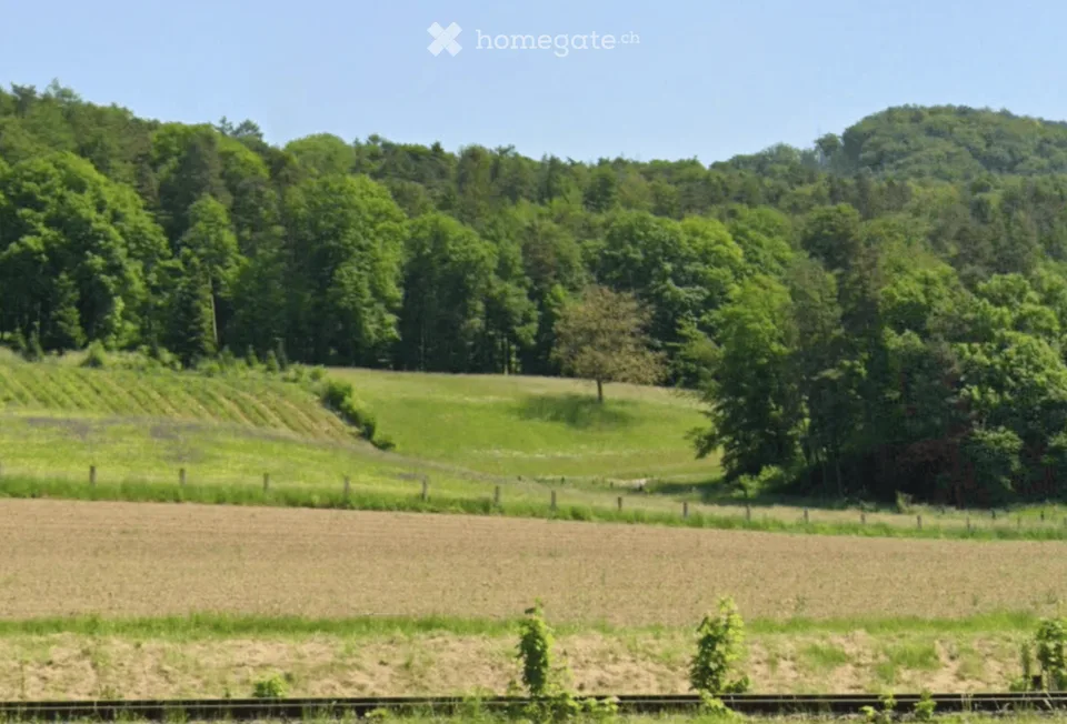 Charmantes Einfamilienhaus mit 4000 m² Wald