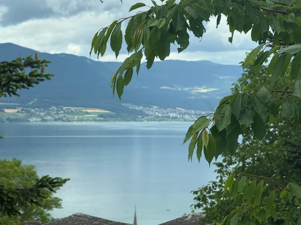 Geräumige Villa mit ruhiger Lage und sehr schöner Abgeschiedenheit
