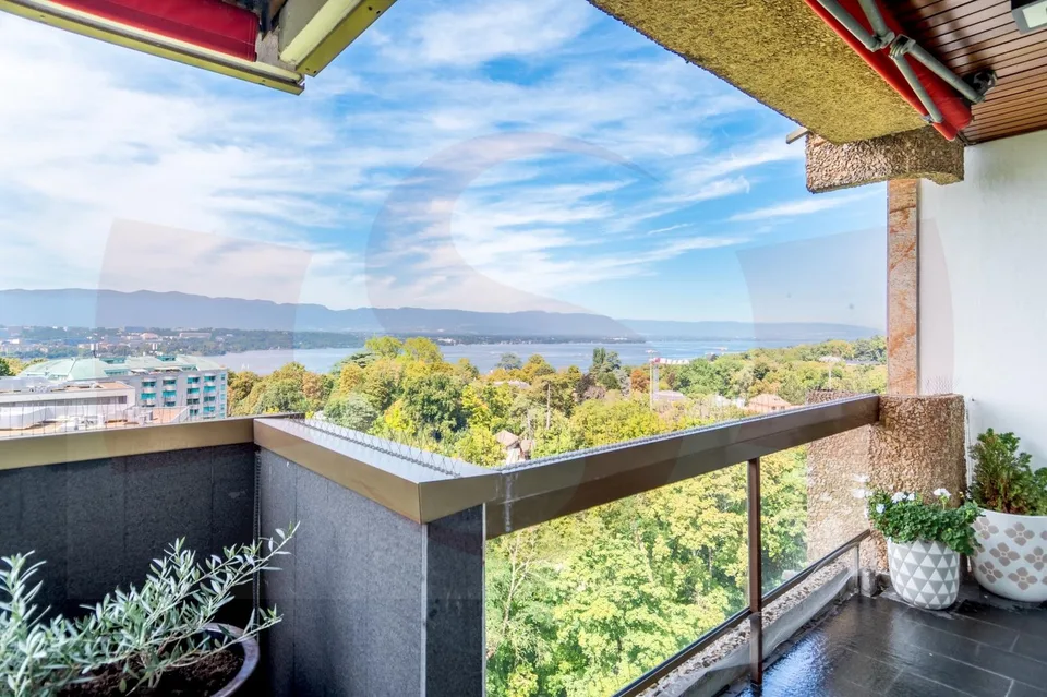 Exceptionnel appartement dominant Genève - Exclusivité