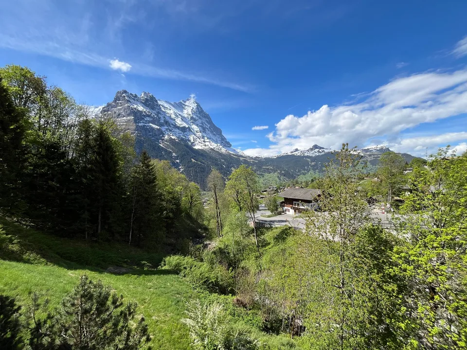 Charming 4-room maisonette apartment with breathtaking views in Grindelwald – photo 10 of 14