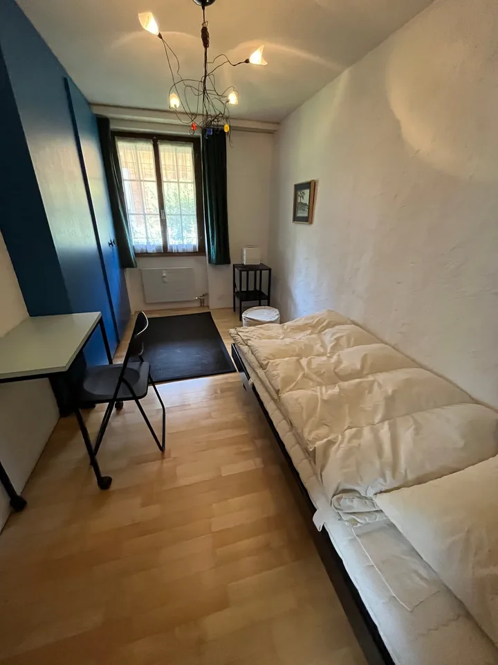 Charming 4-room maisonette apartment with breathtaking views in Grindelwald – photo 7 of 14