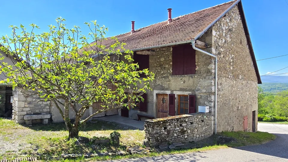 Confortable maison en pierres à Frangy