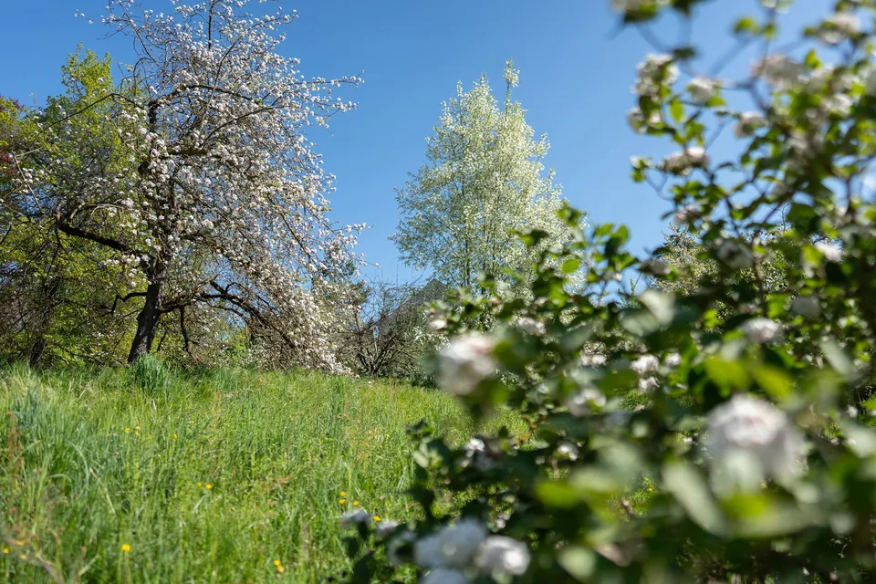 Casa padronale con ampio parco e laghetto
