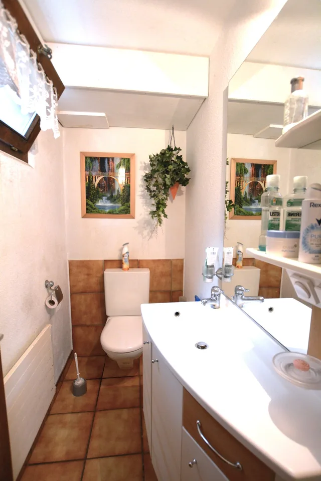 Proprietà familiare in stile provenzale a Porrentruy – foto 19 di 28