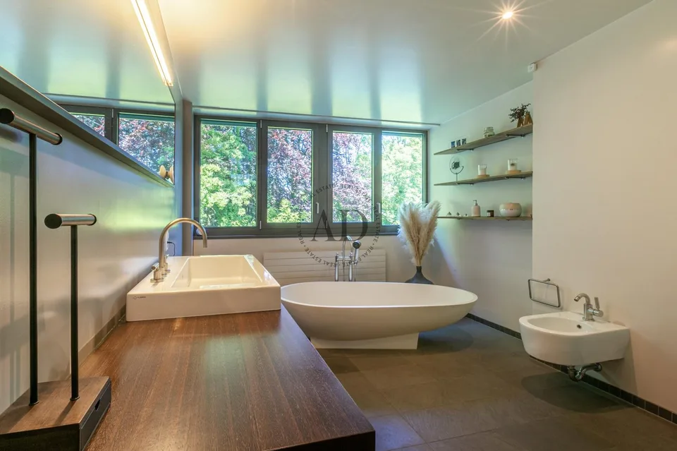 Selten zur Verkauf: Loft in der Nähe von Carouge