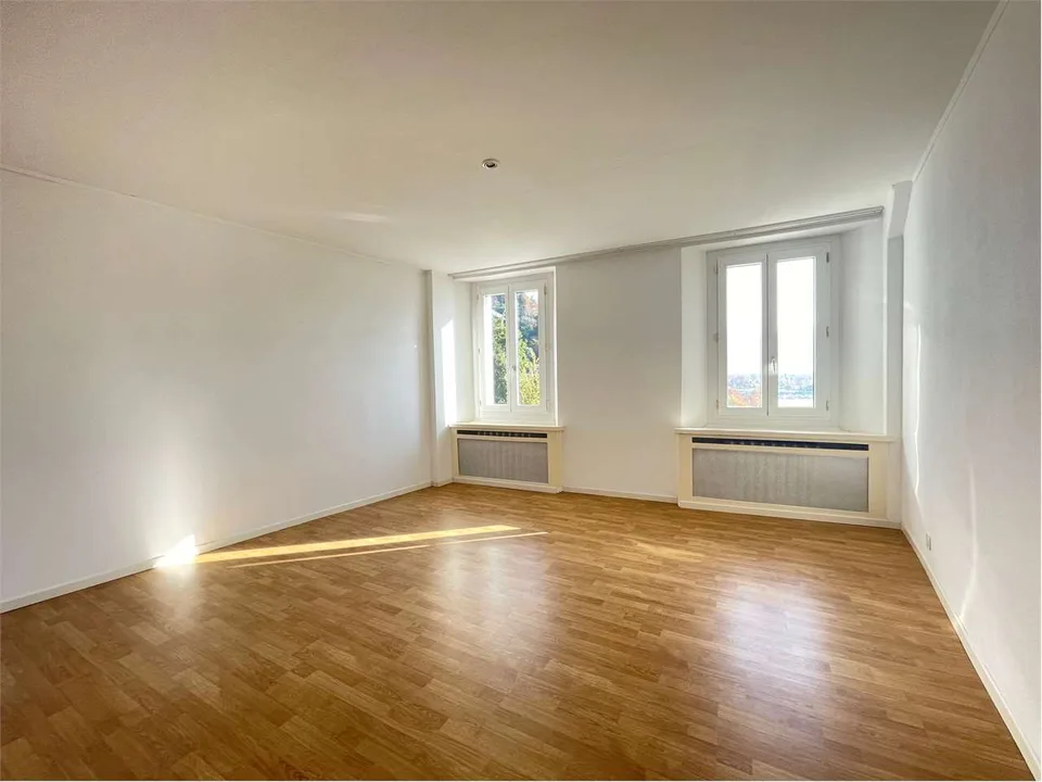 Villa à revenu avec vue sur le lac - investissement idéal à Minusio – photo 11 sur 13