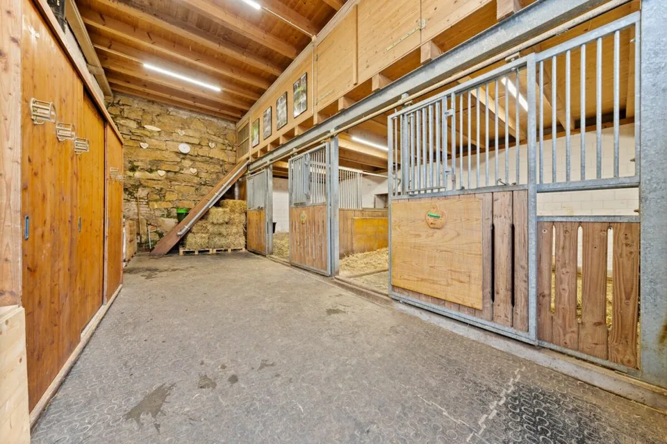 Vuoi costruire appartamenti? E allo stesso tempo vivere in una casa unifamiliare rinnovata e moderna? Allora sei proprio nel posto giusto! – foto 29 di 30