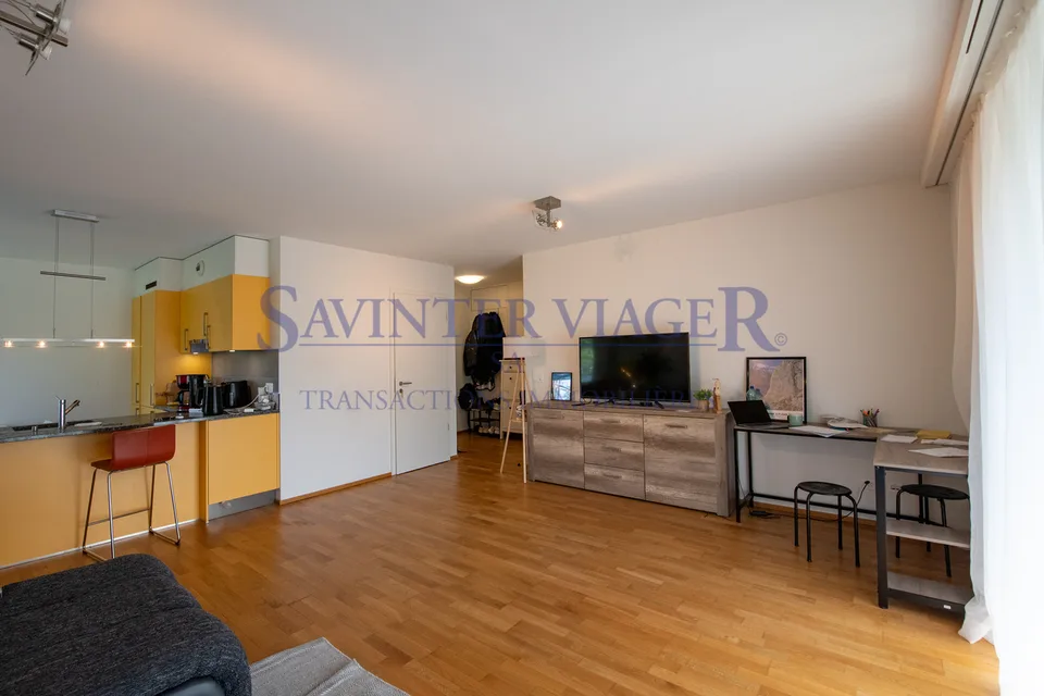 Carouge - Elegante appartamento di 3 locali con ampio balcone e vista libera