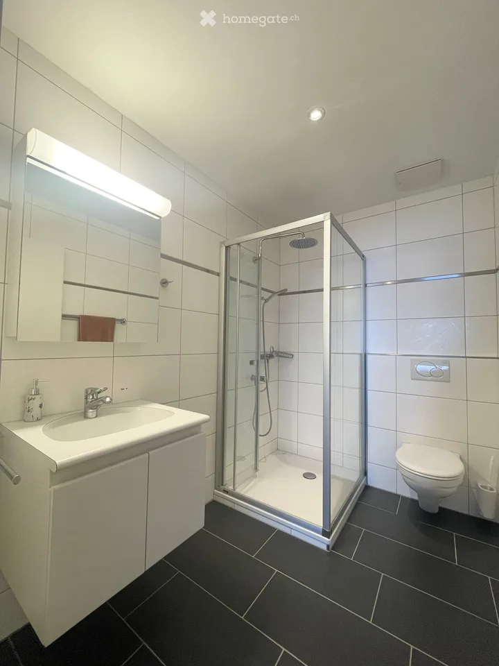 Wohnen mit Weitblick - sonnige 4.5-Zimmer-Terrassenwohnung an zentraler Lage in Würenlingen