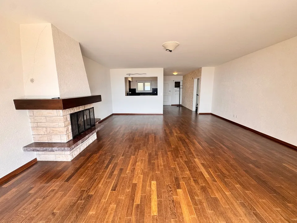 Magnifique appartement de 4,5 pièces avec vue dominante sur le lac