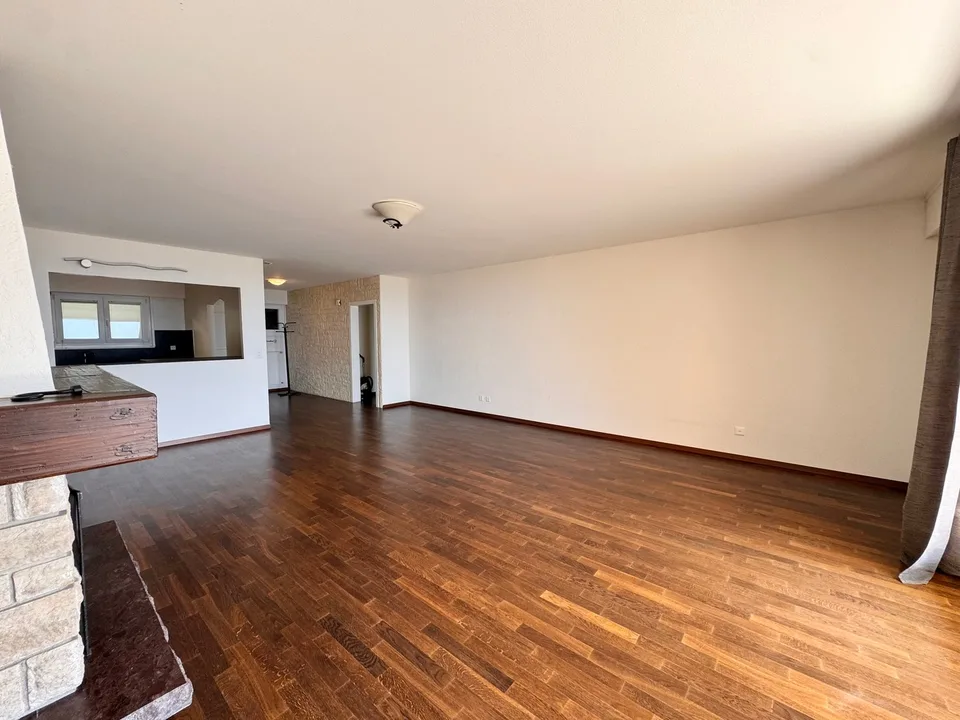 Magnifique appartement de 4,5 pièces avec vue dominante sur le lac