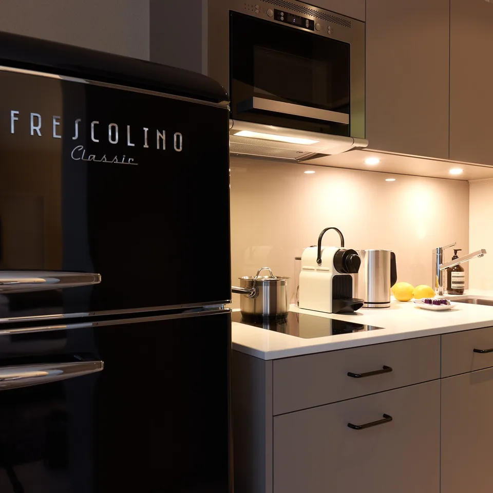 Studio Apartment möbliert und neu renoviert in Zürich Oerlikon