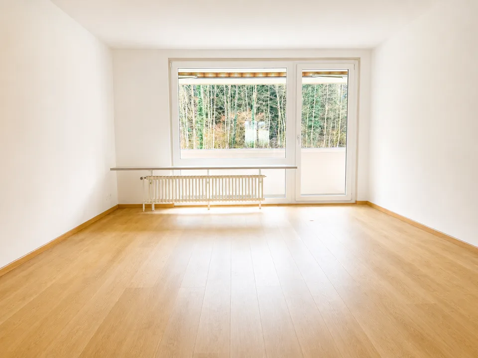 Appartement spacieux de 5,5 pièces