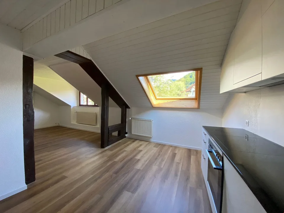 Appartement 3 pièces fraîchement rénové