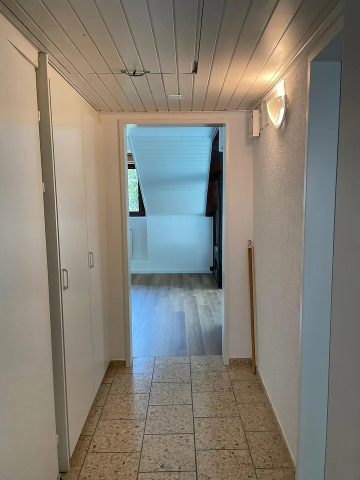 Appartement 3 pièces fraîchement rénové
