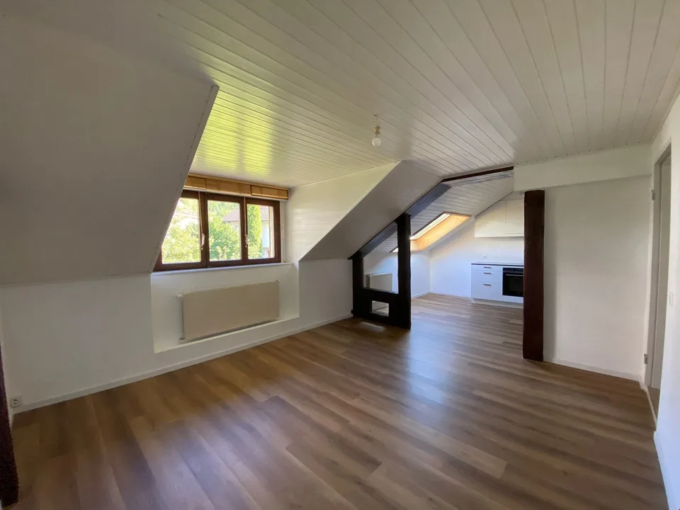 Appartement 3 pièces fraîchement rénové