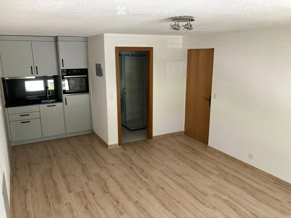 Neu renoviertes Studio zu Vermieten in Agarn /VS